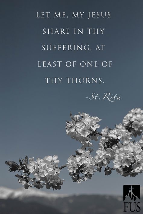 St. Rita St Rita Of Cascia Quotes, Prayer To St Rita, Promises Quotes, Rita Of Cascia, Saint Rita, St Rita Of Cascia, St Ignatius Of Loyola, St. Rita, St John Bosco