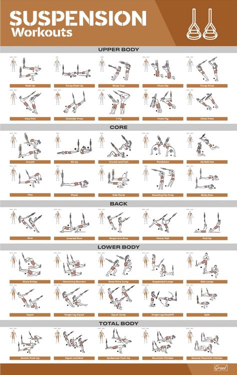 Suspension Training Workouts, Suspension Workout, Trx Full Body Workout, Trx Suspension Training, Trx Training, Gym Antrenmanları, Gym Poster, Trx Workouts, Home Gym Exercises