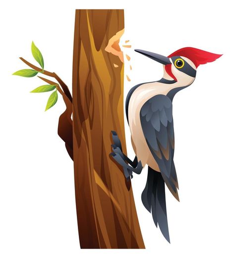 Cute woodpecker bird cartoon illustration isolated on white background Woodpeckers, Bird Cartoon Illustration, Woodpecker Illustration, Woodpecker Art, Woodpecker Bird, Bird Cartoon, Cartoon Bird, Cartoon Birds, Vector Sketch