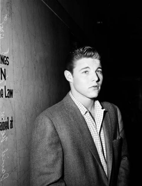 David Nelson, Rick Nelson, Nelson Family, James Dean Photos, Ricky Nelson, Magic Aesthetic, James Dean, Dean, Actors & Actresses