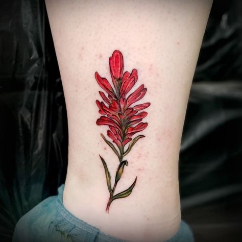 dallas Tattoo Artist Erik Espinoza | Here's a little indian paintbrush tattoo. to book an appointment email me at: erikespinozatattoo@hotmail.com #dfwtattoos #dfwtattoo… | Instagram Indian Paintbrush Tattoo, Paintbrush Tattoo, Indian Paintbrush Flowers, Dallas Tattoo, Brush Tattoo, Wildflower Tattoo, Western Tattoos, Indian Paintbrush, Botanical Tattoo