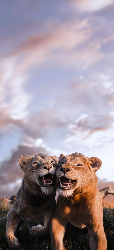 Mufasa: The Lion King Scar And Mufasa, Scar Lion King, Lion King Pictures, Lion King Movie, Il Re Leone, Lion King Art, Marvel Thor, Disney Lion King, Anime Backgrounds Wallpapers