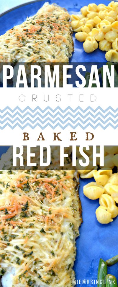 Baked Parmesan Crusted Red Fish | Seafood Recipes | Fish Recipes | White Fish Recipes | Baked Parmesan Crusted White Fish | Delicious Dinner Recipes | Healthy Recipes | theMRSingLink Crusted White Fish, White Fish Recipes Baked, Redfish Recipes, Red Snapper Recipes, Snapper Recipes, Snapper Fish Recipes, White Fish Recipes, Fish Recipes Baked, Recipes Fish