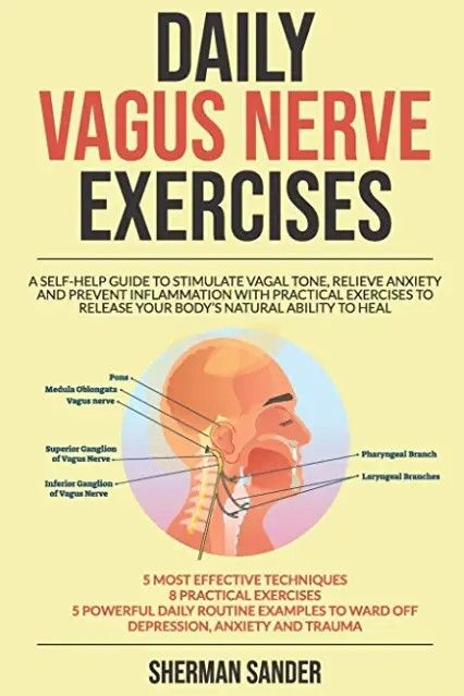 Nerve Exercises, Vagal Tone, Nerf Vague, The Vagus Nerve, Nerve Health, Parasympathetic Nervous System, Sciatic Nerve Pain, Vagus Nerve, Sciatic Nerve