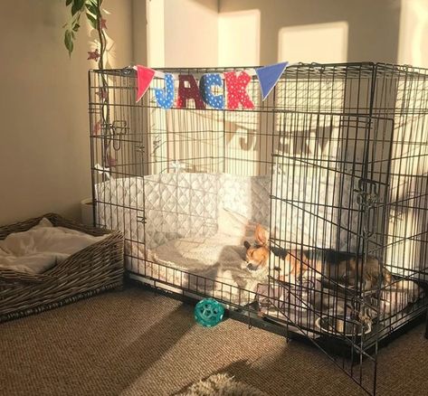 50 Best Dog Crate Ideas for Your Inspiration - The Paws Wire Crate Ideas, Cozy Crate For Dogs, Multiple Dog Crate Ideas Indoor, Dog Crate Accessories, Cozy Dog Crate Ideas, Large Dog Crate Ideas Indoor, Where To Put Dog Crate In House, Dog Crate Ideas Decor, Large Dog Cage Ideas Indoor