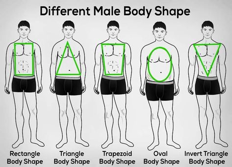 Body Type Male, Chart Drawing, Learning Anatomy, Mens Body Types, Male Body Shapes, Bowflex Workout, Body Type Quiz, Dress For Body Shape, Men Drawing