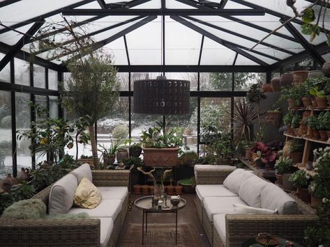 greenhouse with sitting area Cozy Sitting Area, Best Greenhouse, Lots Of Plants, Greenhouse Interiors, Small Greenhouse, Greenhouse Plans, Living Modern, Landscape Designs, Sitting Area