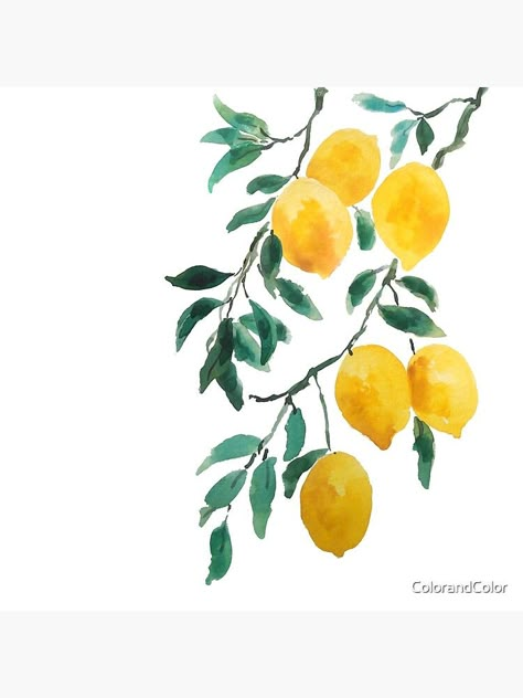 "yellow lemon watercolor " Throw Pillow by ColorandColor | Redbubble Art Pictures Ideas, Lemon Drawing, Lemon Watercolor, Lemon Painting, Watercolor Paintings Easy, Cat Air, Easy Watercolor, Watercolor Cards, Watercolor Artwork