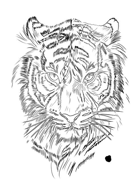 Tiger Head Tattoo Stencil, Tiger Tattoo Stencil Design, Tiger Face Tattoo Stencil, Tiger Design Tattoo, Tiger Drawing Tattoo, Tiger Face Stencil, Tiger Tattoo Outline, Lion Tattoo Stencil Drawings, Tiger Outline Tattoo