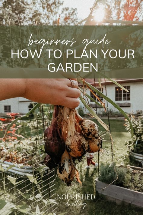 Beginners Guide: How to Plan Your Garden | Gardening from scratch | how to start a garden | how to grow your own food | what to plant in your garden | starting a homestead | spring garden tips How To Plan A Garden For Beginners, Start A Garden For Beginners Backyards, Starting A Garden From Scratch, How To Garden For Beginners, How To Start A Garden, Gardening Basics, Natural Gardening, Garden From Scratch, Start A Garden