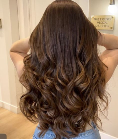 Curled Long Brown Hair, Curled Hair Brown, Loose Curled Hair, Curled Brown Hair, Honey Brown Balayage, Wavy Brunette Hair, Brown Curled Hair, Loose Curls Hairstyles, Balayage Ideas