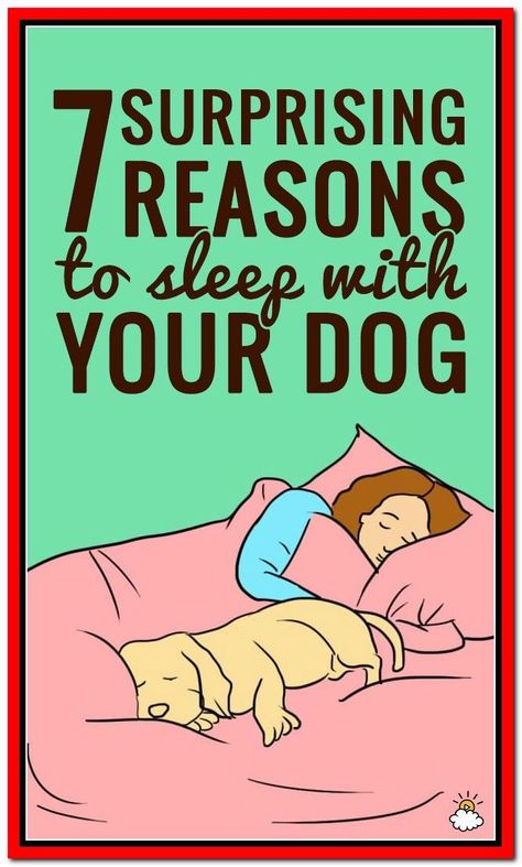 Dog Sleeping In Bed, Life Style Tips, Nails And Health, Homemade Medicine, Dog Bed Ideas, Cute Dog Beds, Diy Herbal Remedies, Herbal Remedies Recipes, Home Medicine