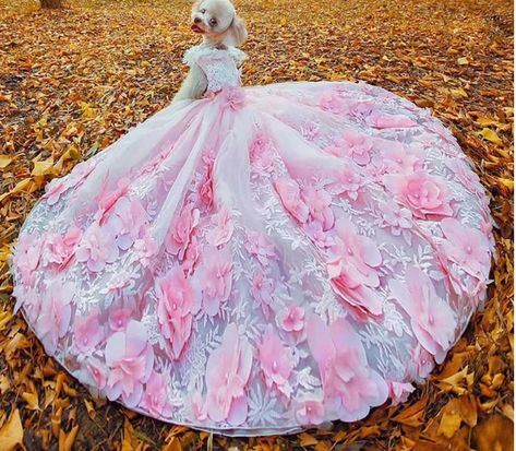 Dog Wedding Attire, Dog Wedding Dress, Stylish Gown, Really Cute Puppies, Princess Dog, Dog Ball, Dog Clothes Patterns, Dog Rooms, Kids Designer Dresses