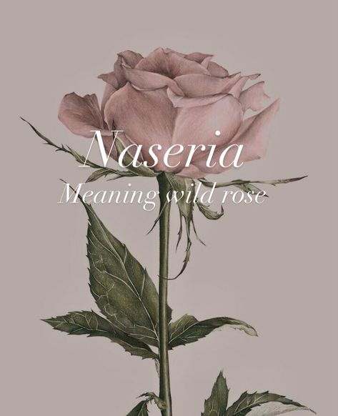 Names That Mean Rose, Names That Mean Flower, Kingdom Names With Meanings, Fantasy Last Names With Meaning, Flower Names And Meanings, Names Meaning Strength, Fantasy Names Feminine, Orc Names, Oc Names