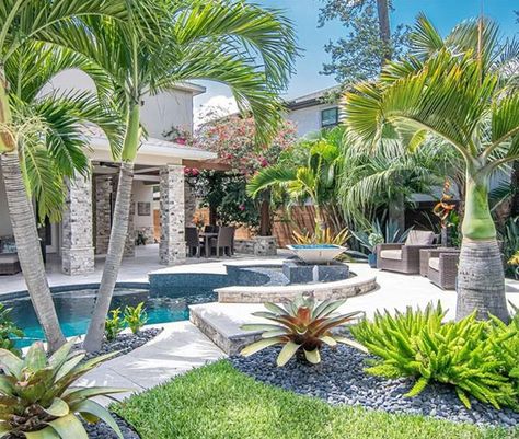 Palm Trees In Planters, 3 Ft Front Yard Fence Ideas, Palm Trees Landscaping Front Yard, Backyard Pool With Lanai, Palm Tree Yard Ideas, Landscape Around Palm Trees, Landscape Design Palm Trees, Palm Tree Garden Ideas Backyards, Tropical Poolside Landscaping