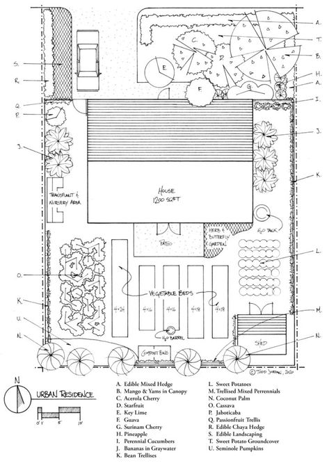 North Florida Garden, Florida Vegetable Garden, Food Garden Layout, South Florida Gardening, Food Forest Design, Florida Backyard, Garden Homestead, Townhouse Ideas, Tiny House Designs