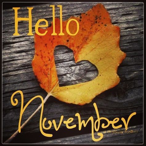 Hallo December, Hallo November, November Pictures, November Images, Welcome November, November Aesthetic, November Quotes, Months And Seasons, November Wallpaper