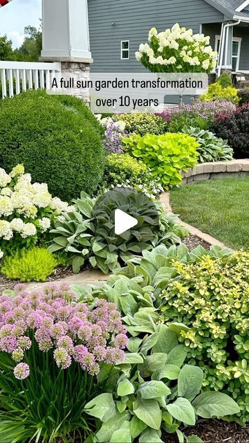 Joy in the Garden 🌸Joyce Merschman Ludlow | A full sun garden transformation over 10 years. This garden has been a tough one to figure out because it gets beating hot sun in my zone... | Instagram Full Sun Front Garden Ideas, Perennial Garden Ideas Full Sun Zone 3, Short Full Sun Perennials, Backyard Landscaping Full Sun, Zone 9 Front Yard Landscaping, Sun Tolerant Plants Landscapes, Zone 7 Landscaping Ideas, Plants That Last All Year Round, Zone 6 Landscaping Front Yards Full Sun