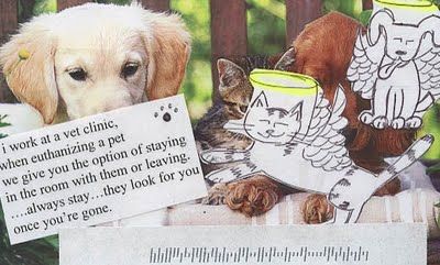 saddest thing ever Post Secret Postcards, Post Secret, Dog Heaven, A Vet, Vet Clinics, Dog Stories, When I Die, Vet Tech, If I Stay