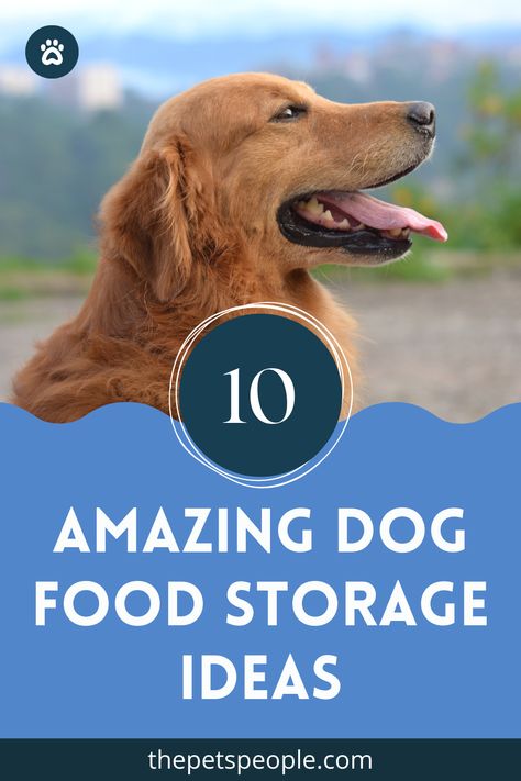 If you own a dog (or any other pet, for that matter) you know how important it is to store their food in the right manner. Read on to know more about some highly effective dog food storage ideas. Pet Food Storage Ideas, Dog Food Storage Ideas, Food Storage Ideas, Dog Food Storage Containers, Make Dog Food, Food Storage Organization, Frozen Dog, Pet People, Pet Food Storage