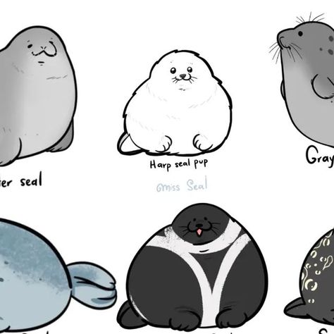 Seal Drawing Cute, Seal Fursona, Seal Oc, Seal Drawing, Cute Seals, Oc Inspo, A Seal, Window Seal, Fandom Funny