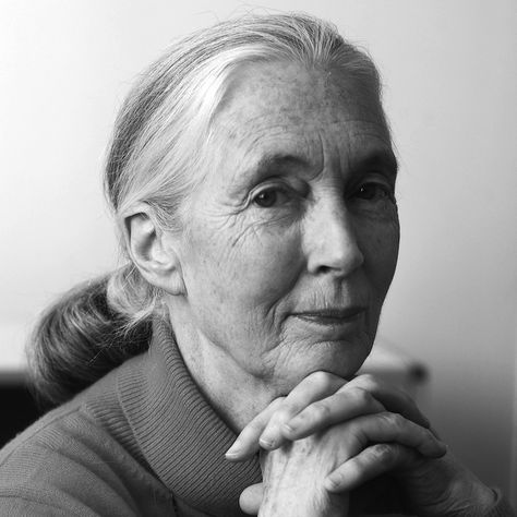 Dr. Jane Goodall Returns to San Antonio Jane Goodall, Dark Skies, Aging Gracefully, 인물 사진, Famous Faces, Inspirational People, Real Women, Strong Women, Good People