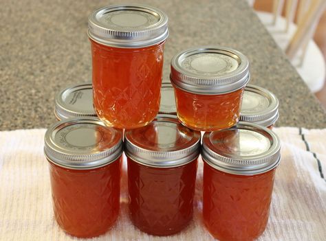 Hot Pepper Jelly (Plain or Pineapple-Pumpkin) Apple Pepper Jelly, Pepper Jelly Recipe, Pepper Jelly Recipes, Cream Cheese Spread, Hot Pepper Jelly, Ritz Cracker, Pork And Cabbage, Cooking Pumpkin, Jelly Recipe