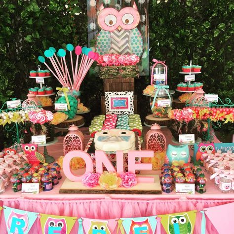 Owls Birthday Party Ideas | Photo 9 of 15 | Catch My Party Look Whoos Turning One, Owl Birthday Party Ideas, Owl Themed Birthday Party, Candy Buffet Birthday, Owl Themed Parties, Owl Birthday Party, Owl Birthday Parties, Owl Birthday, Owl Party