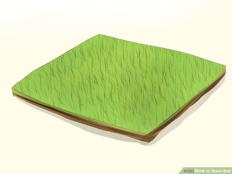 How To Lay Sod, Sod Grass, Green Lawn, Small Gardens, How To Grow, Secret Garden, Beach Mat, To Grow, Start Up