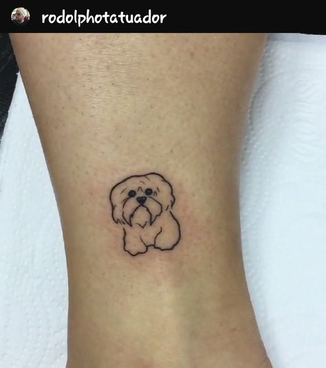 Coton De Tulear Tattoo, Shihtzu Tattoos, Tattoo Perro, Small Dog Tattoos, Perro Shih Tzu, Father Tattoos, Dog Paw Tattoo, Dog Memorial Tattoos, Paw Tattoo