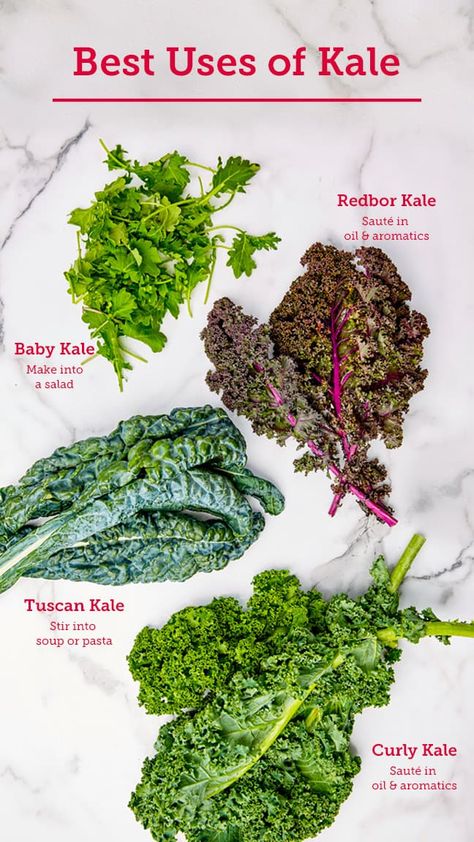 Baby Kale Recipes, Kale Benefits, Cook Kale, Types Of Kale, Kale Vegetable, Vegetable Ideas, How To Cook Kale, Types Of Salad, Sauteed Kale