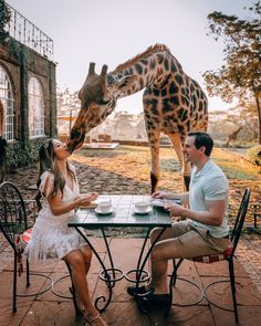 Travel Aesthetic Wanderlust, Dream Life Aesthetic, Travel Ad, Adventure Travel Explore, Life Aesthetic, I Want To Travel, Giraffes, Travel Aesthetic, Kenya