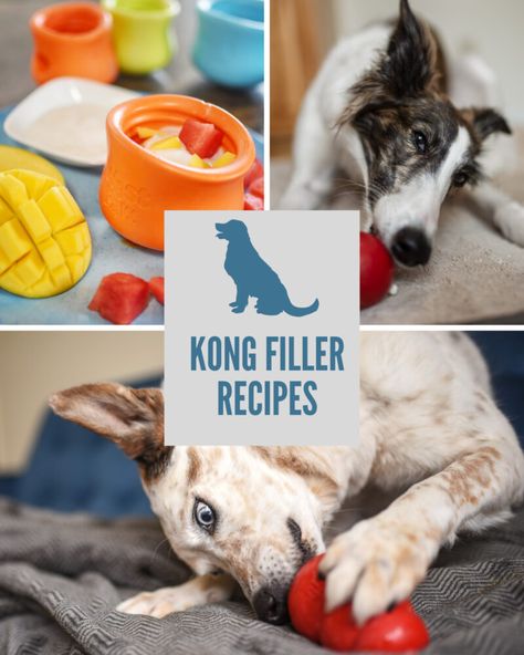 Kong Fillers Stuffing Recipes, Low Fat Dog Treats, Kong Treats, Kong Stuffing, Kong Recipes, Dog Medicine, Dog Treat Toys, Fat Dogs, Kong Toys