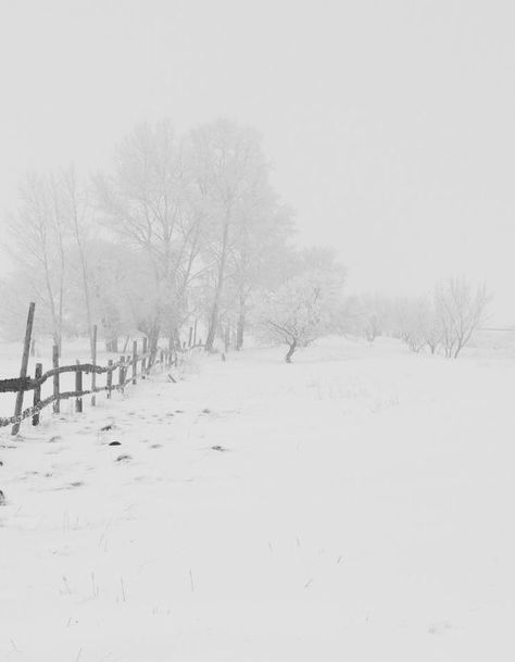 Snow Field, Snowy Field, Random Inspiration, Winter's Tale, Gifts For Boyfriend, Winter Love, Winter Magic, Winter Scenery, Wooden Fence