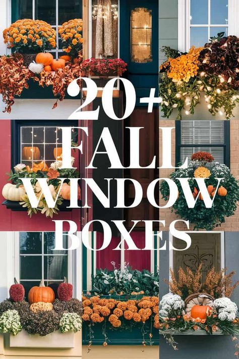 20+ Fall Window Boxes to Elevate Your Home Aesthetic Fall Window Boxes With Pumpkins, Fall Window Boxes Ideas, Fall Window Boxes, Fall Windows, How To Cook Lamb, Cabin Chic, Ornamental Kale, Decor Plants, Fall Floral Arrangements