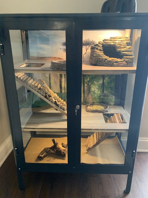 Multilevel Bearded Dragon habitat using IKEA Fabrikor glass door cabinet. Replaced top piece of class with screen. Our beardie seems to enjoy his new habitat and mom is happy that it fits better with the home decor. #happywifehappylife Diy Screen Reptile Cage, Home Made Reptile Enclosures, Bearded Dragon Home Ideas, Large Reptile Terrarium Ideas, Vivarium Ideas Bearded Dragon, Multilevel Bearded Dragon Habitat, Diy Vivarium Bearded Dragon, Diy Terrarium Bearded Dragon, Reptile Terrarium Furniture