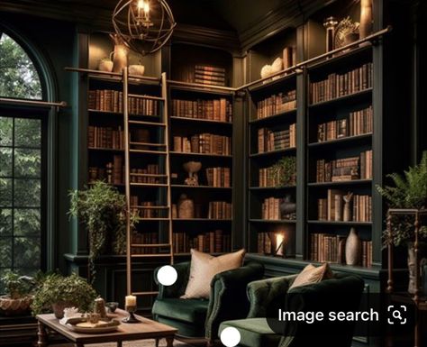 Blue Green Rooms, Dark Academia Interior, Green Library, Dining Room Library, Snooker Room, Home Library Rooms, Dark Home Decor, Home Library Design, Dark Home