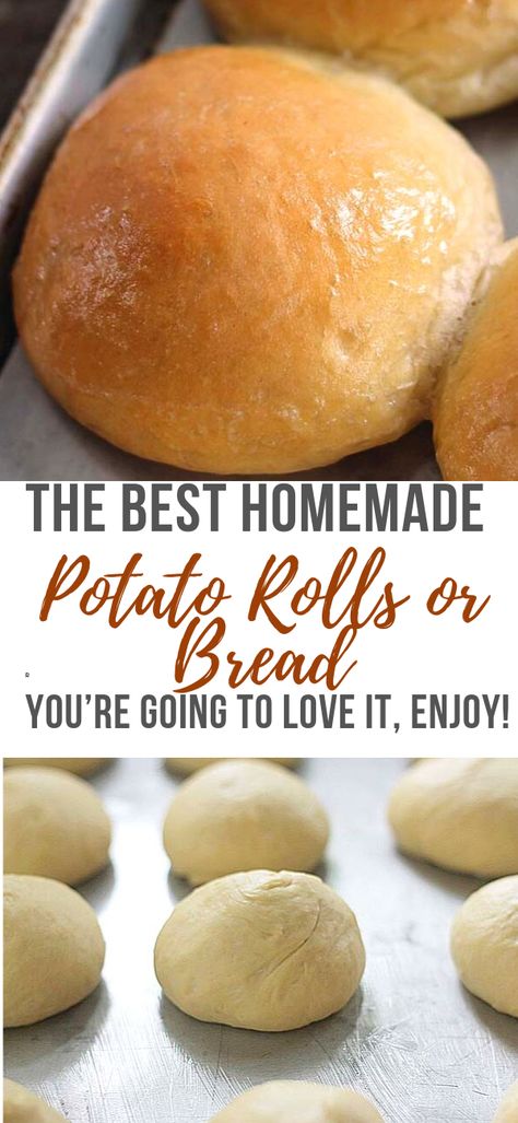 Thermomix, Essen, Potatoes Bread Recipe, Potato Bread Buns, Homemade Potato Rolls, Potato Rolls Recipe Mashed, How To Make Potato Bread, Potato Dough Recipe, Easy Potato Bread