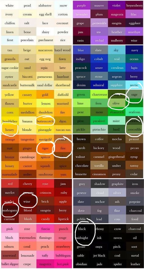 All Types Of Colors, Color Spectrum Chart, Rare Colours, Colour Shade Card, Color Names Chart, All Colours Name, Shades Of Colors, Pantone Color Chart, Color Knowledge