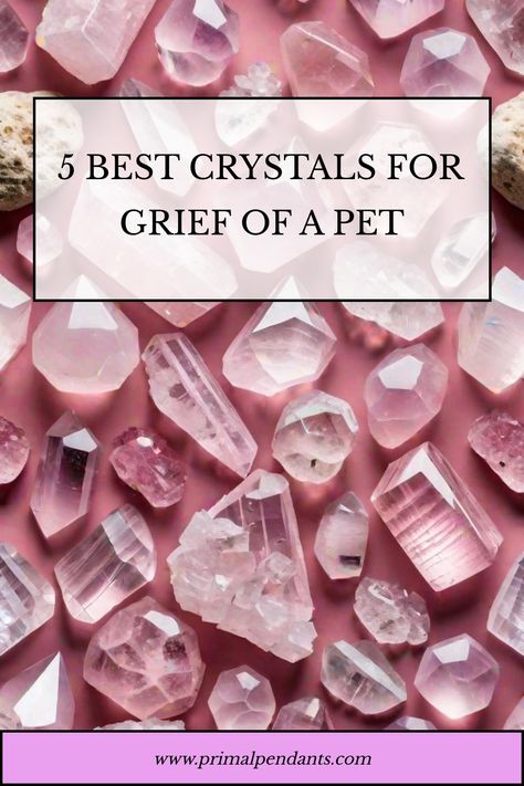 5 Best Crystals for Grief of a Pet Pet Healing, Natural Remedies For Allergies, Power Of Crystals, Allergy Remedies, Best Crystals, Protection Crystals, Be Gentle With Yourself, Find Peace, Losing A Pet