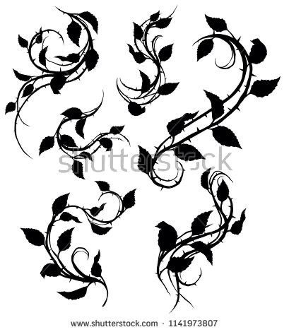 Flower Thorns Tattoo, Black Thorn Tattoo, Rose Thorn Vine Tattoo, Thorns And Flowers Tattoo, Rose Branch Tattoo, Roses With Thorns Tattoo, Rose And Thorns Tattoo, Rose With Thorns Tattoo, Rose Thorn Tattoo