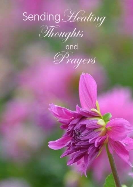 Thinking Of You Prayers, Healing Thoughts And Prayers, Sending Prayers Your Way Healing, Healing Message For Friend, Healing After Surgery Quotes, Prayers For Health And Healing Get Well, Sending Hugs And Prayers, Praying For Healing Quotes, Sending Healing Prayers