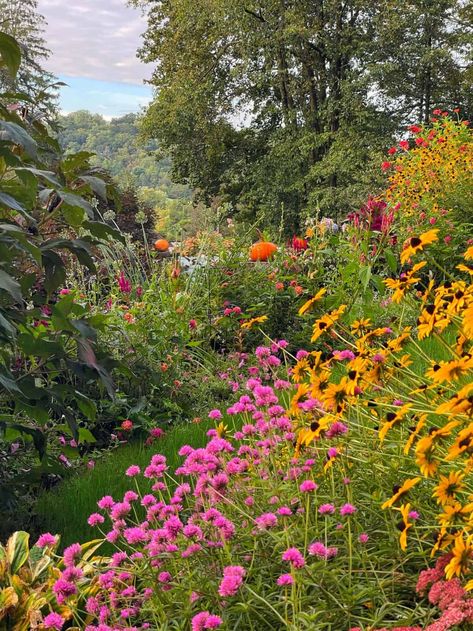 Fall gardening for beginners made easy! Learn how to plant, care for, and harvest a bountiful autumn garden of vegetables and flowers.