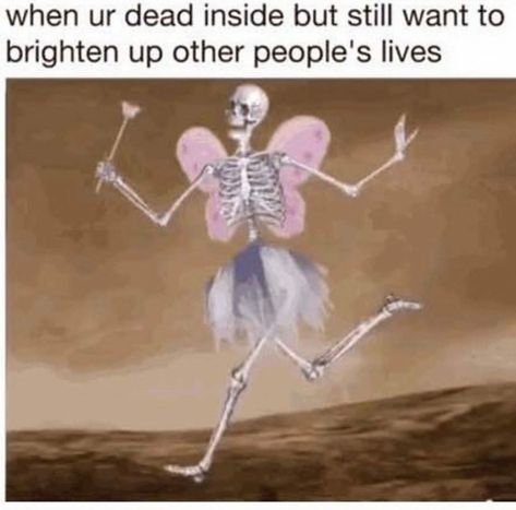 Skeleton Memes, Skeleton, Gif, Tags, Funny, On Instagram, Instagram