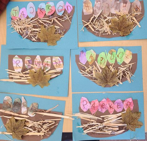 Nature, Birds Nest Activity For Preschool, Nest Art Preschool, Making Bird Nests Preschool, Nest Activity Preschool, Birds Reggio Emilia, Birds And Nests Preschool, Spring Bird Crafts Preschool, The Best Nest Preschool Activities