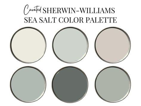 THIS IS A DIGITAL PRODUCT -  YOU WILL NOT RECEIVE A PHYSICAL PRODUCT   THIS IS A CURATED PRE-SELECTED COLOR PALETTE. THIS IS NOT A COLOR CONSULTATION  Sherwin-Williams Sea Salt Color Palette Choosing paint colors for your home doesn't have to be overwhelming. I've curated this color palette to make the process of updating your home simple, so you can focus on enjoying the transformation. With a harmonious selection of shades that flow effortlessly from room to room. Each color has been carefully chosen to complement one another, ensuring that your home feels cohesive and inviting as you move from room to room. From calming neutrals to subtle pops of color, this palette brings balance and sophistication to your home. Whether you're refreshing a single room or transforming your entire home, Calm Pallete Color, Colors That Go With Light Gray, Sea Salt Sherwin Williams Cabinets, Sherwin Williams Sea Salt Color Palette, Sea Salt Color Palette, Sea Salt Paint Color, Spa Color Palette, Color Palette Coastal, Sea Salt Color