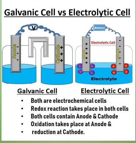 Galvanic Cell, Electroplating Diy, Electrochemical Cell, Science Tricks, General Physics, Redox Reactions, Weather Science, Chemistry Classroom, Cell Model