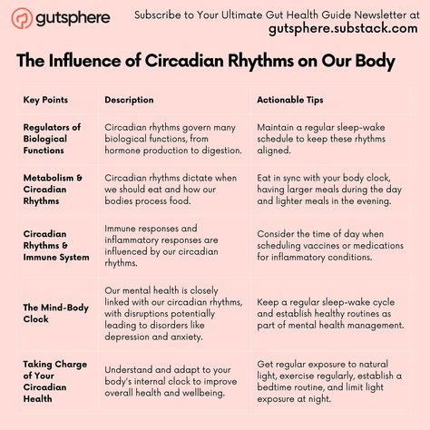 The Body's Timekeeper: Harnessing the Power of Our Circadian Rhythms Circadian Rhythm Women, Circadian Rythym, Circadian Rhythm Sleep, Circadium Rhythm, Takadimi Rhythm, Healthy Routines, Body Clock, Immune Response, Home Health Remedies