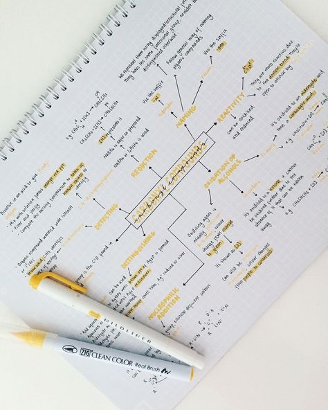 Mind Map Design, Mental Map, College Notes, Bullet Journal Notes, Mind Maps, School Organization Notes, Science Notes, Study Organization, Pretty Notes