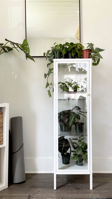 Baggebo Ikea, Plant Cabinet, Ikea Cabinet, Ikea Cabinets, The Plant, I Said, Ladder Decor, Audio, The Originals